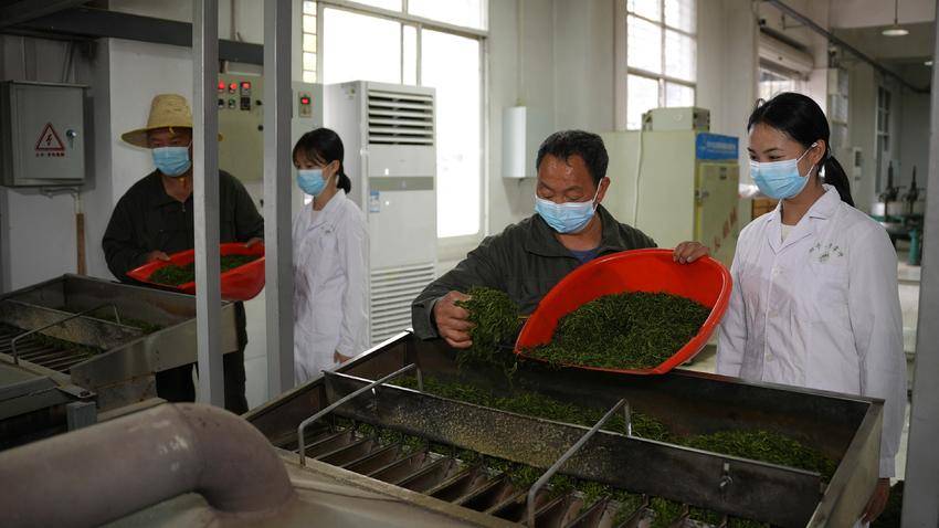 【图文】宜昌长阳：工学结合赋能乡村振兴 茶旅融合激活产业动能.doc