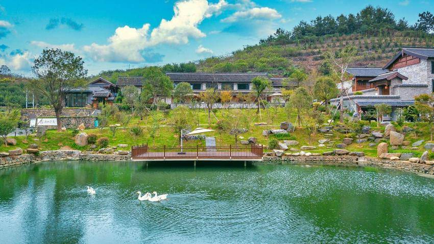 01 武当山道隐山居获评全国甲级旅游民宿.docx