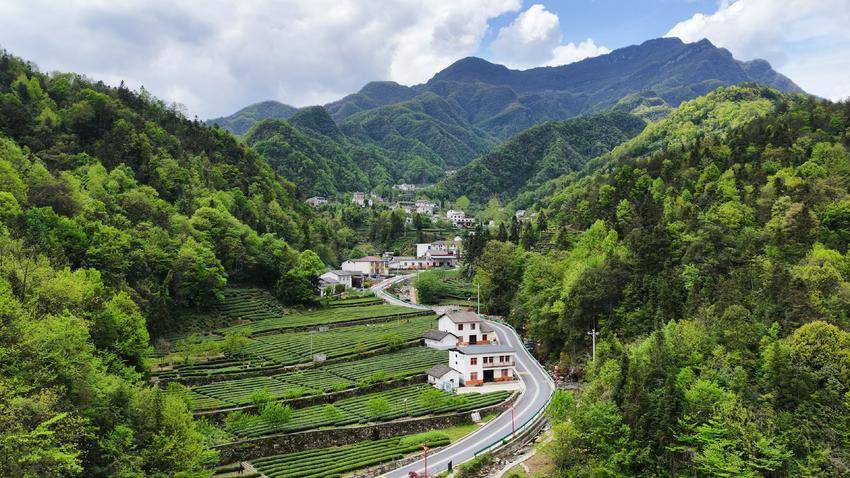 【图文】宜昌长阳：工学结合赋能乡村振兴 茶旅融合激活产业动能.doc