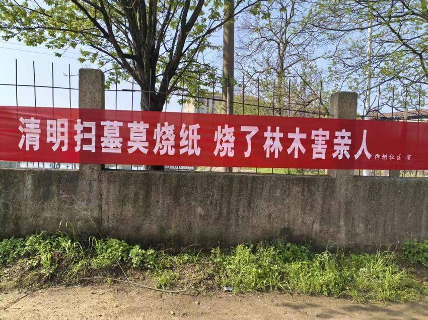 安陆市南城街道：织密清明“防火网”，筑牢安全“防火墙”.docx