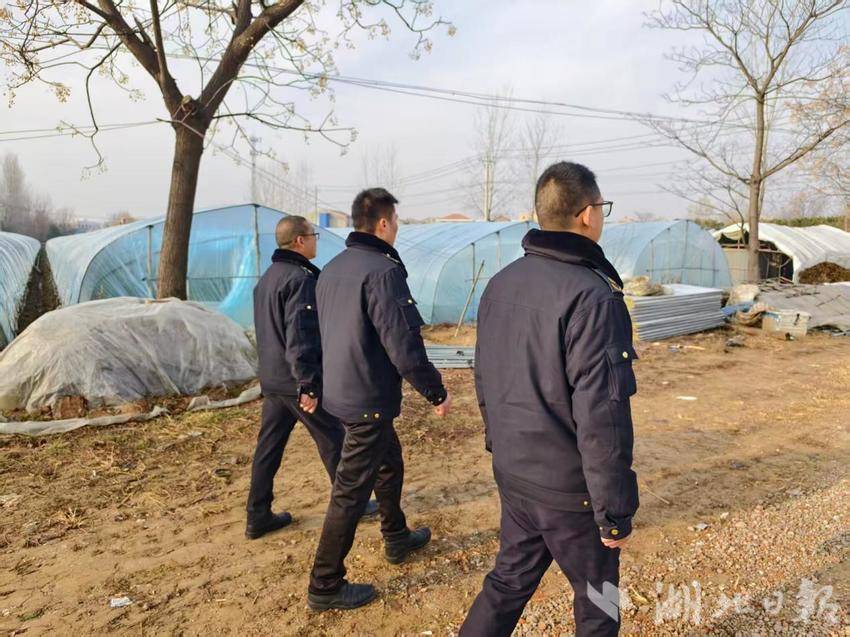 扮靓市容迎新春 洁净村湾暖归途.docx