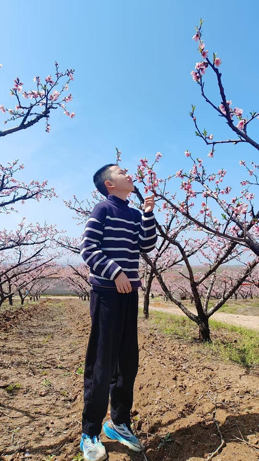 双减赋能添春色 桃花灼灼润童心.docx