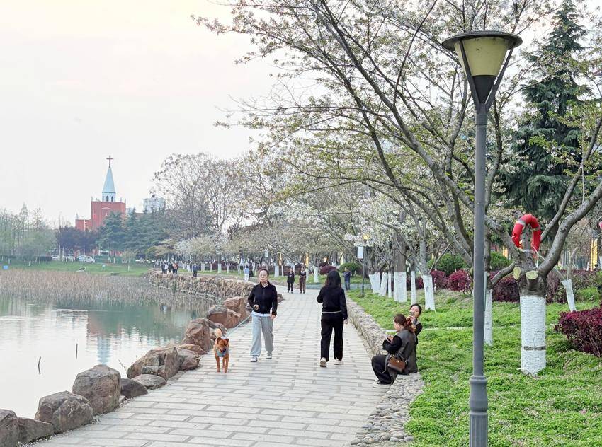 美翻了！天门最美樱花大道浪漫上线.docx