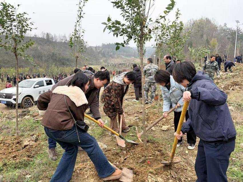 武当山特区开展春季义务植树活动(1).docx