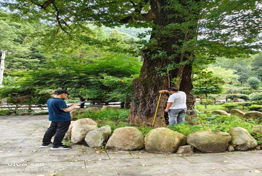 房县林业局扎实推进第三次古树名木普查暨开展2026年保护科普宣传周活动.docx