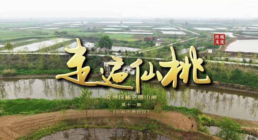 仙桃文博工作简报-（第15期）仙桃市博物馆2026年“5·18国际博物馆日”活动精彩纷呈.docx