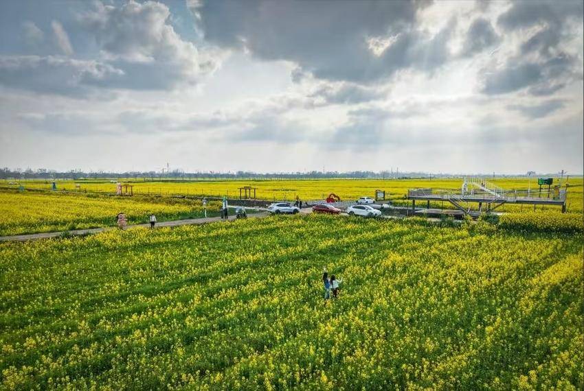 花漾三伏潭 富硒花海漫春光.docx