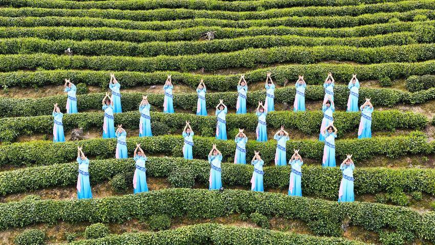 【图文】宜昌长阳：工学结合赋能乡村振兴 茶旅融合激活产业动能.doc