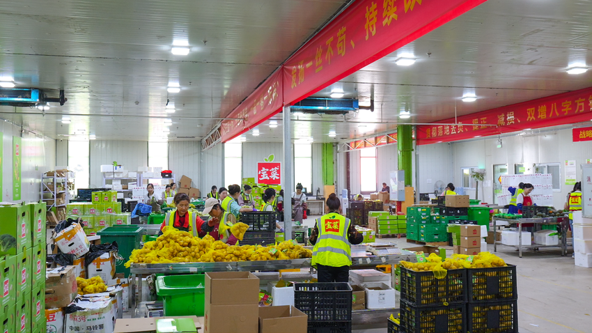 7.7 7%、3000多人、65万吨：首衡城的半年加速度.docx