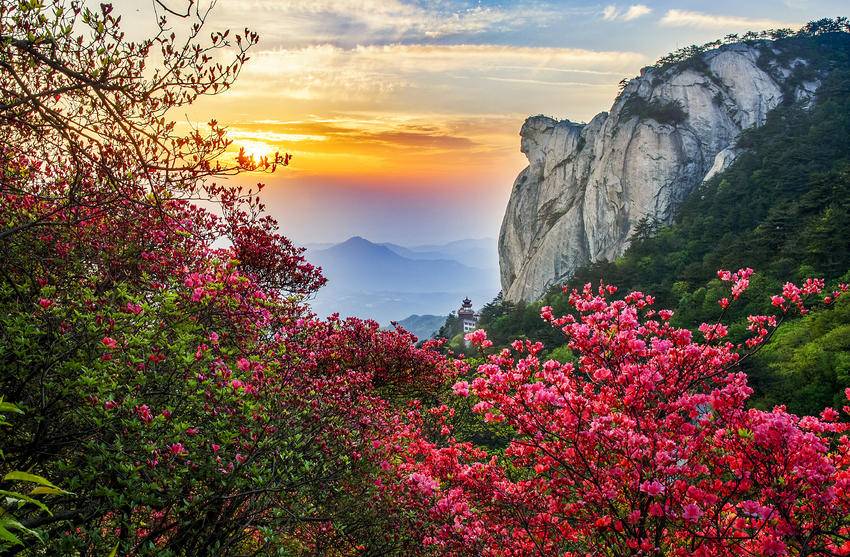 3-16 龟峰鹃红漫青山 一脉非遗耀古今.docx