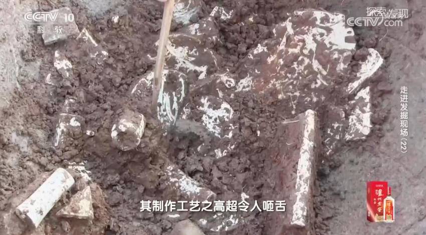 再登央视！《走进发掘现场》聚焦天门石家河遗址.docx