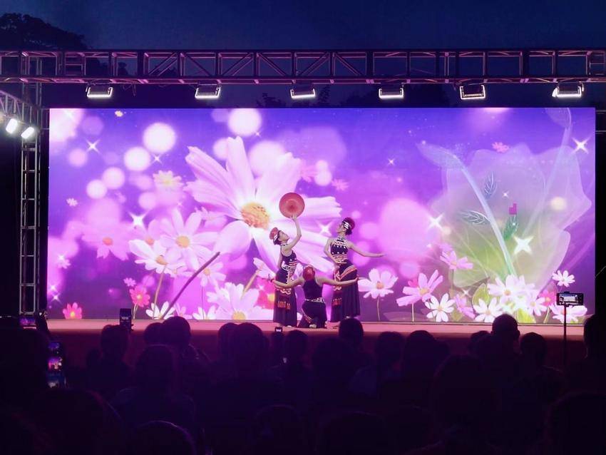 致敬军旅 礼赞初心！我镇庆祝建军99周年文艺汇演精彩上演.docx