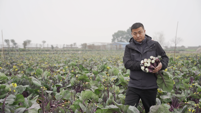 从品质严选角度来掰扯掰扯水果菜薹的(1).docx