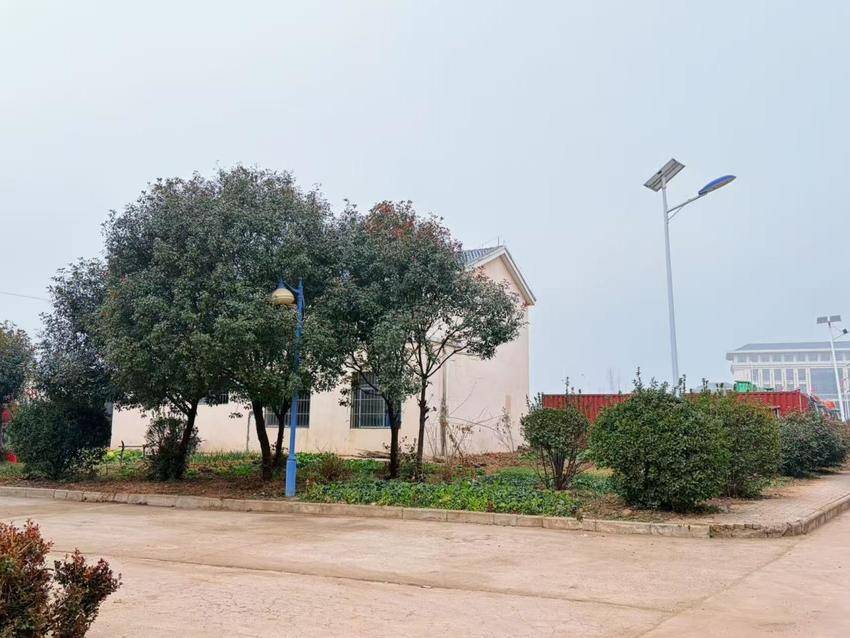 厉山镇北岗社区：拆违治乱焕新颜 洁净家园迎新春.docx