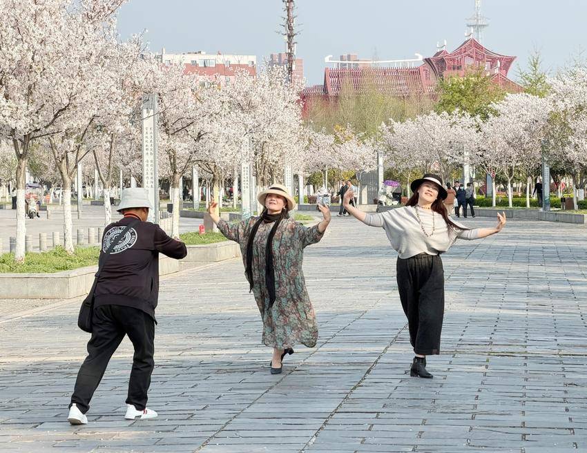 美翻了！天门最美樱花大道浪漫上线.docx