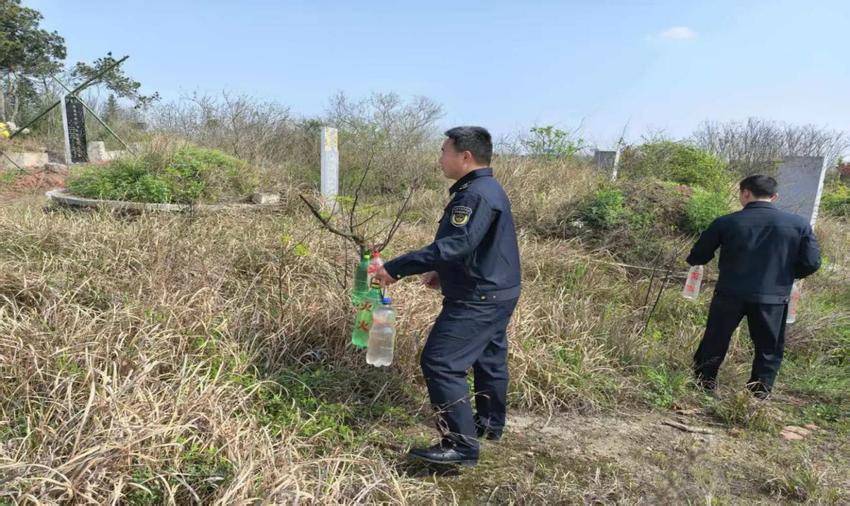 安陆市南城街道：织密清明“防火网”，筑牢安全“防火墙”.docx