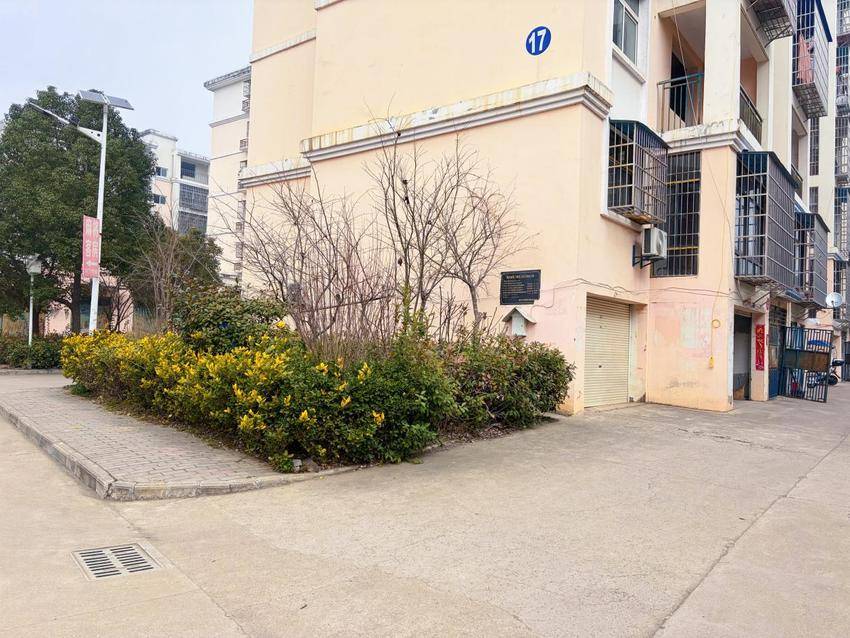 厉山镇北岗社区：拆违治乱焕新颜 洁净家园迎新春.docx