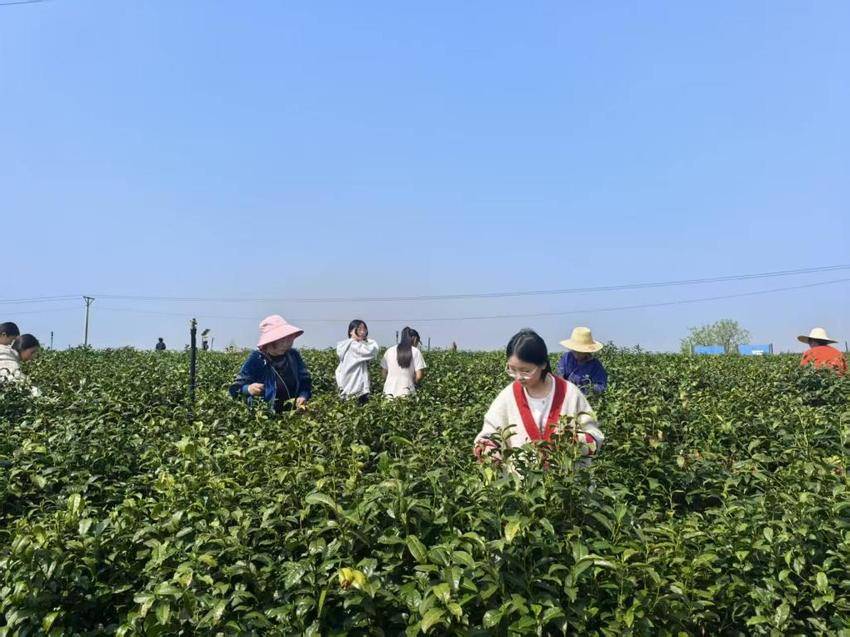 安陆市木梓乡安陆市木梓乡初级中学：踏青采茶悟劳动之美，巧手扎染承非遗匠心.docx