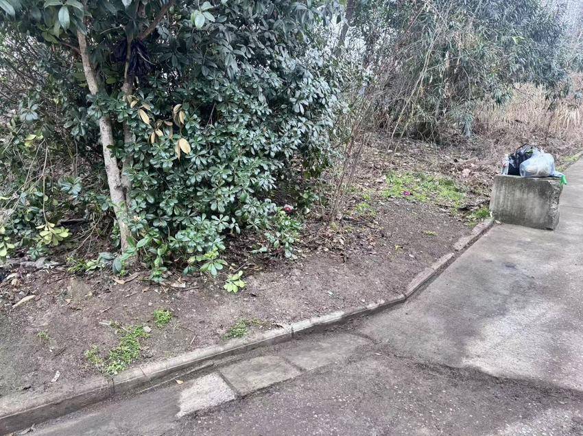 8.（湖北日报刘曼）城市管理进社区  多方联动惠民生.docx