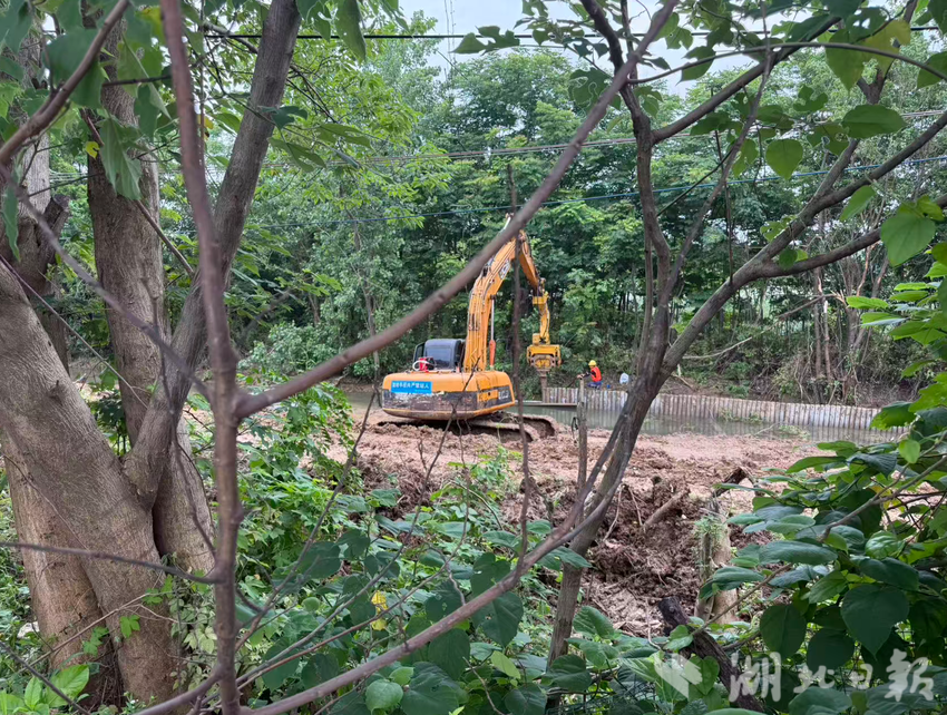 水清岸绿景如画！葛店紫菱湖路支渠清淤工程即将完美收官（副本）.docx