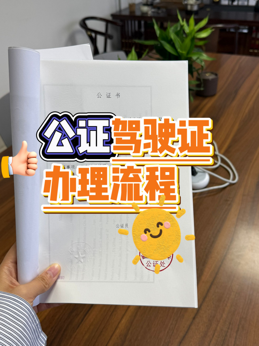 ��ʻ֤��֤��ô������2026��������+�ܿ�ָ�ϣ�һ���Ͷ�.docx