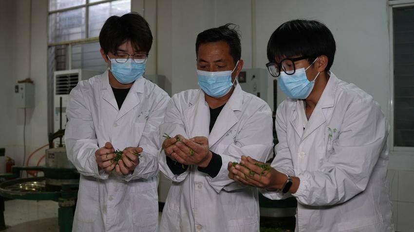 【图文】宜昌长阳：工学结合赋能乡村振兴 茶旅融合激活产业动能.doc