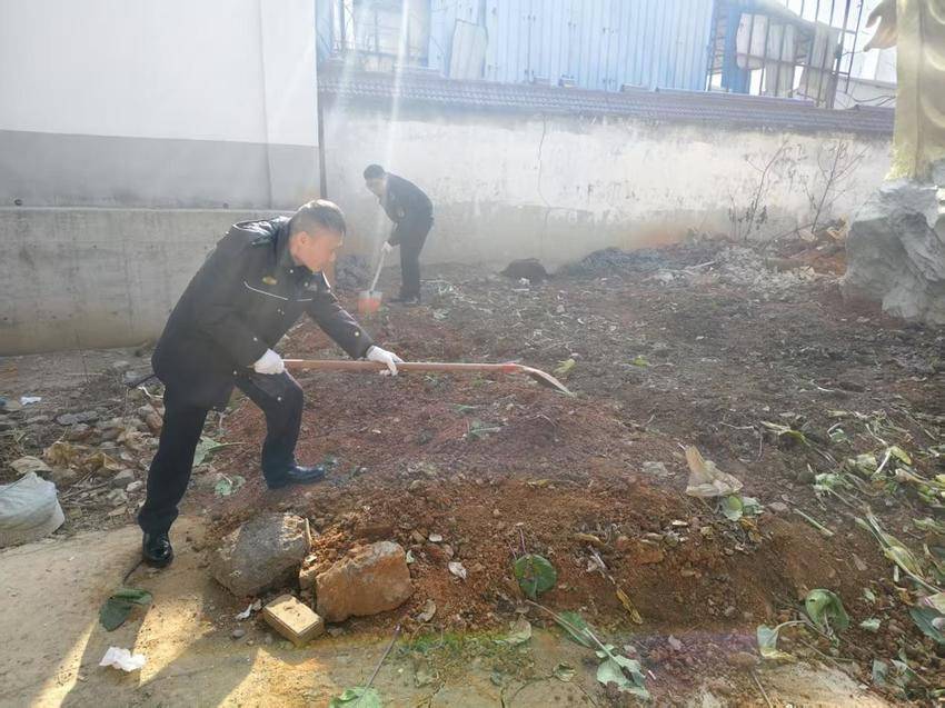 罗家桥街道：清理小菜地 织密护绿“防护网”.docx