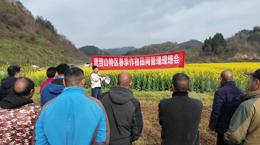 武当山特区开展2026年春季农业综合培训活动.docx