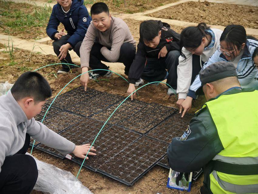 淅河第二小学光化校区开展太空种子培育实践活动.docx