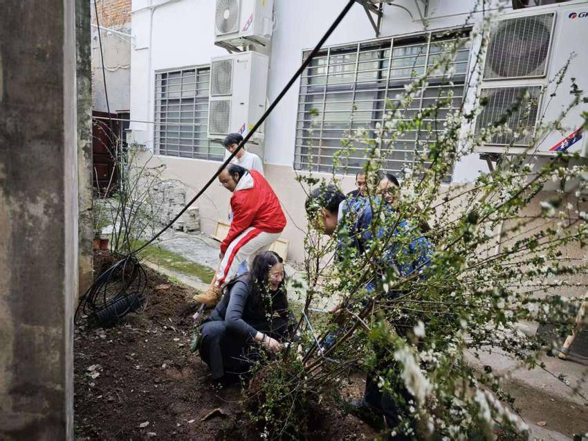 3.17植树添绿·美化家园 ——营盘路社区开展植树节主题活动.docx