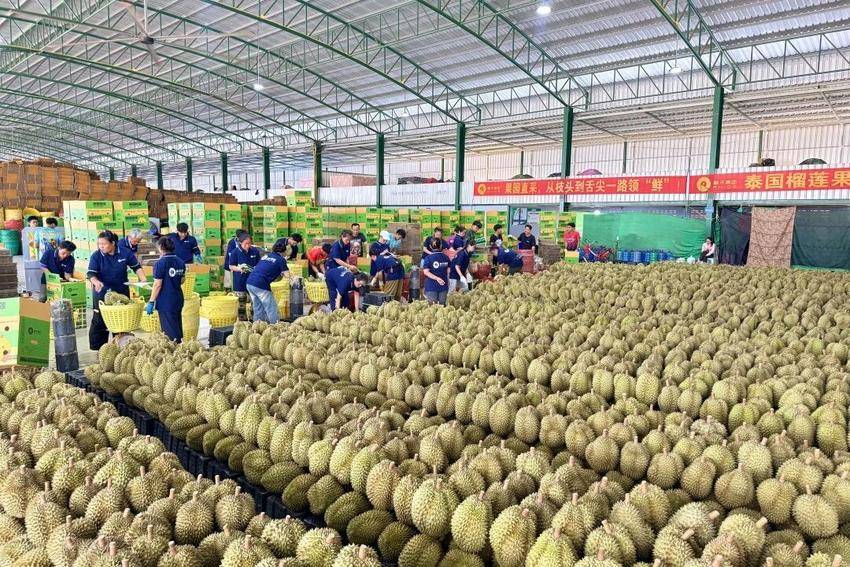 7.7 7%、3000多人、65万吨：首衡城的半年加速度.docx