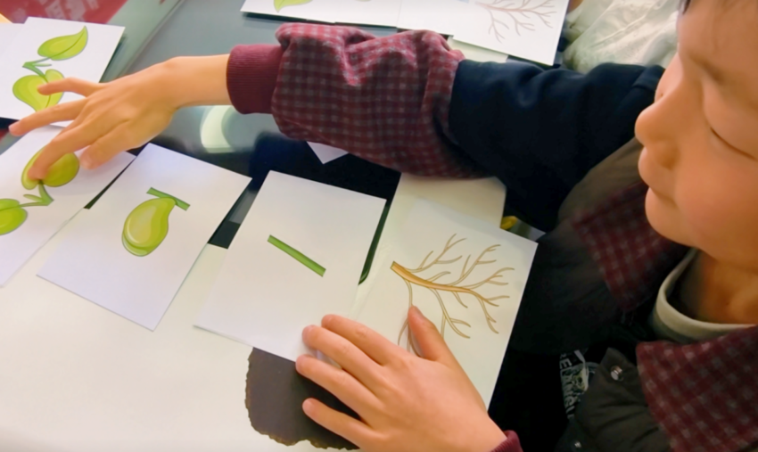 【悦读科学】探秘植物生长！小小科学家种下绿色梦想.docx