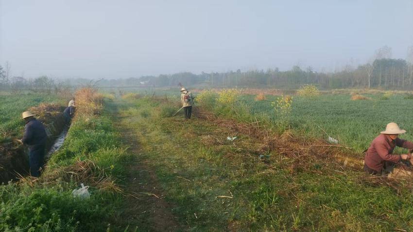 安陆市王义贞镇钱冲村：清淤疏浚正当时 未雨绸缪护安澜.docx