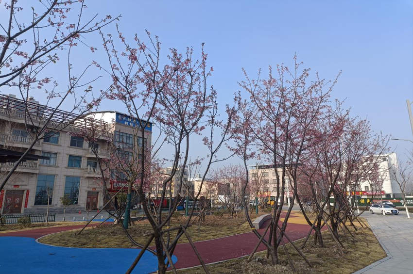 2.6  天门市西龙口袋公园荣获度湖北省2025年“最美口袋公园”称号.docx