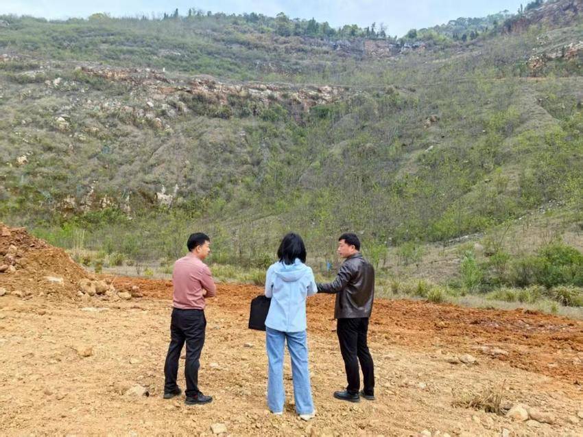 【湖北省黄石市审计局】图片新闻—— 黄石审计：紧盯矿山生态修复  护航绿色发展  .docx