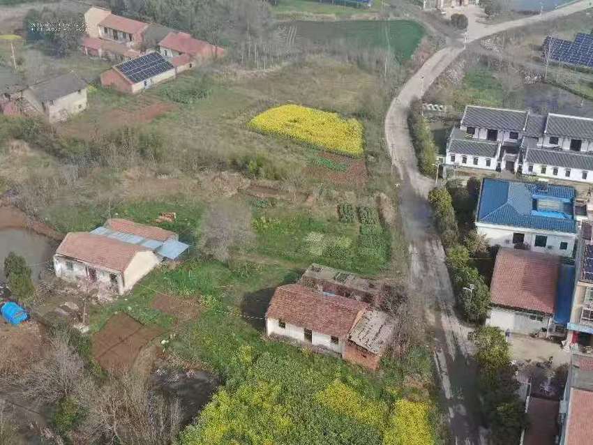 安陆市陈店乡开展第二轮禁种铲毒踏查行动，筑牢禁毒“防火墙”.docx