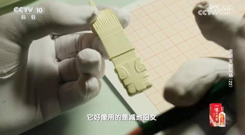 再登央视！《走进发掘现场》聚焦天门石家河遗址.docx