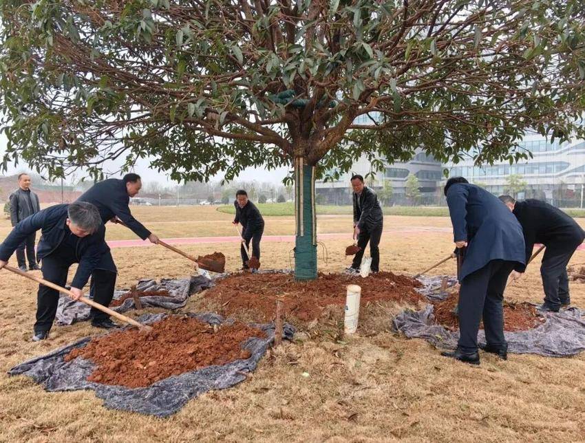 植此青绿映初心 共建美好新院区——孝感市中心医院开展2026年城市创建春季植树活动.docx