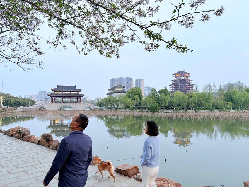 美翻了！天门最美樱花大道浪漫上线.docx