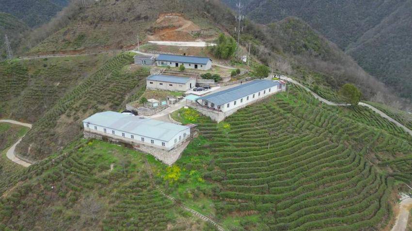 3.24-5探索“土鸡经” 育出富民路(1).docx