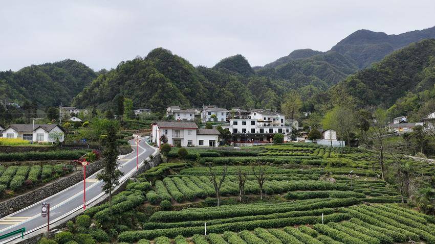 【图文】宜昌长阳：工学结合赋能乡村振兴 茶旅融合激活产业动能.doc