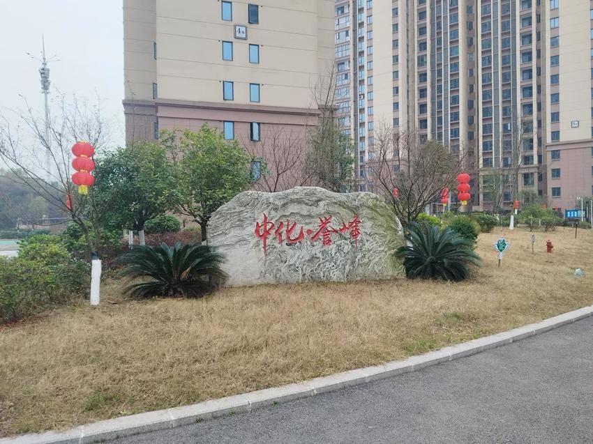 2.14马年新春情更浓，服务在线守初心.docx