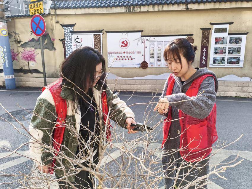 20260312植此青绿护家园 春意盎然满桃花.docx