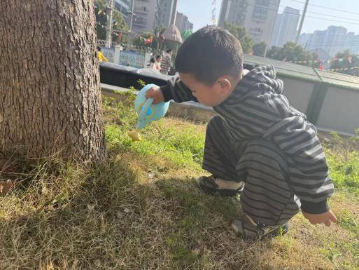 春植萌芽 趣享自然——葛店经开区中心幼儿园张家湾分园2026年春季学期植树节活动.docx