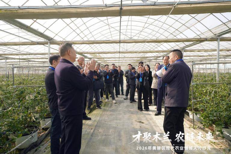 0327新闻稿：黄陂区举办“才聚木兰·农链未来”人才沙龙(2).docx