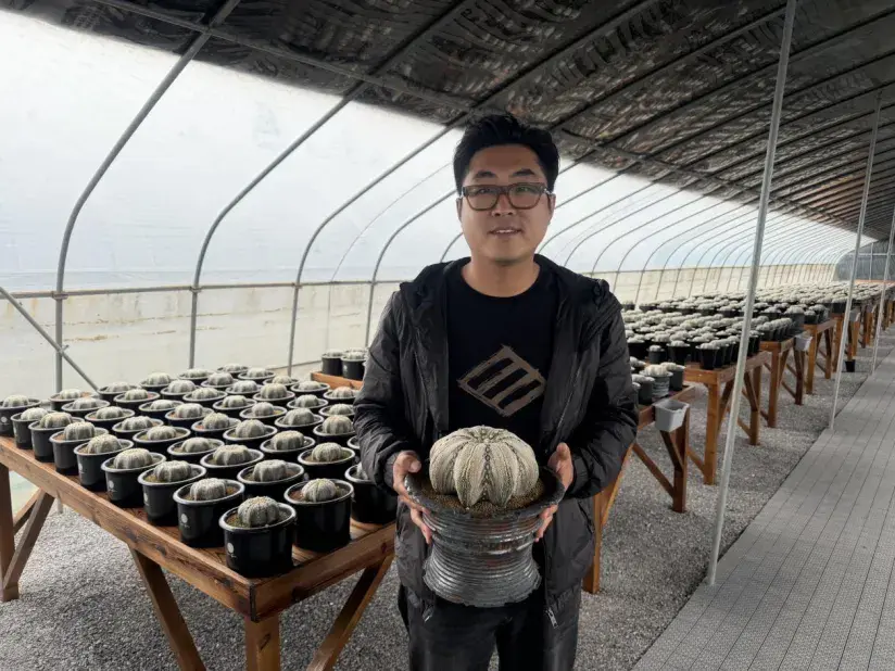 新建 DOCX 文档.docx