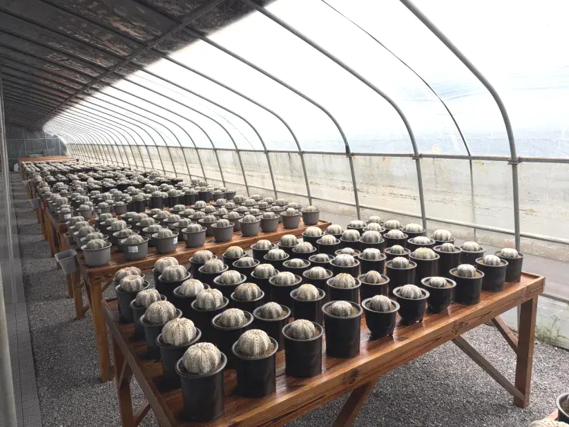 新建 DOCX 文档.docx