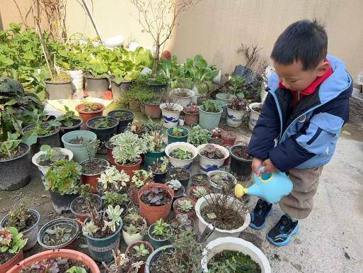 春植萌芽 趣享自然——葛店经开区中心幼儿园张家湾分园2026年春季学期植树节活动.docx