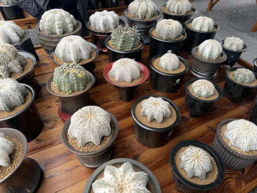 新建 DOCX 文档.docx