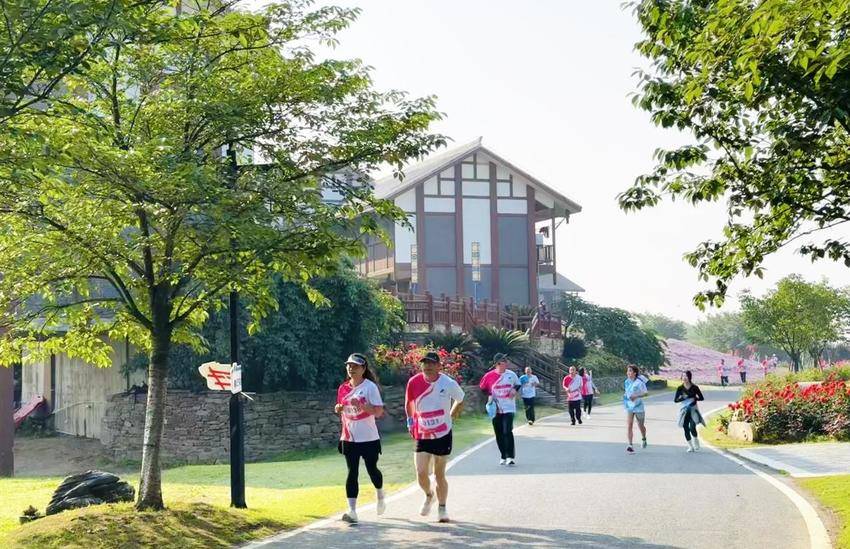湖北省第十届农民运动会测试赛暨第三届和美(1).docx